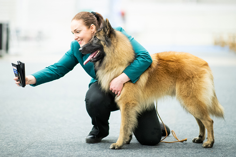 For exhibitors World Dog Show 2025