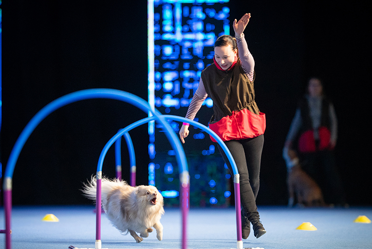 Philadelphia Dog Show 2025