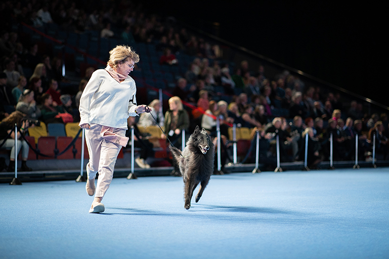 Entry now open for World Dog Show 2025! World Dog Show 2025